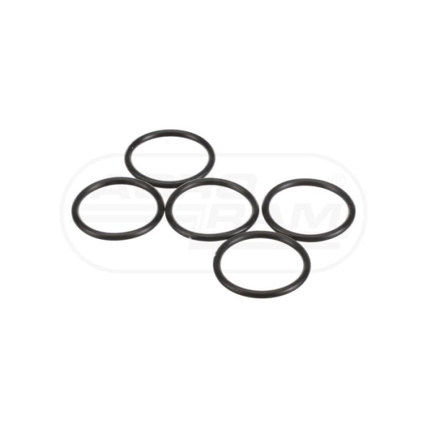 O-ring