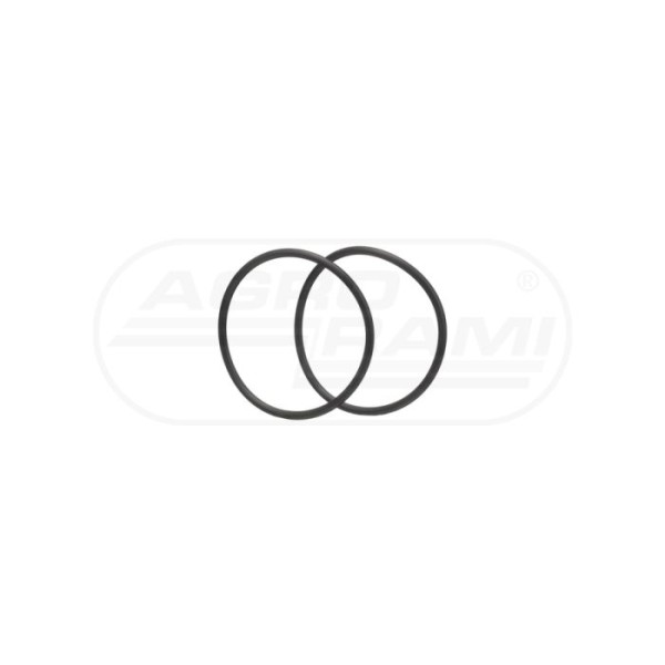 O-ring CNH