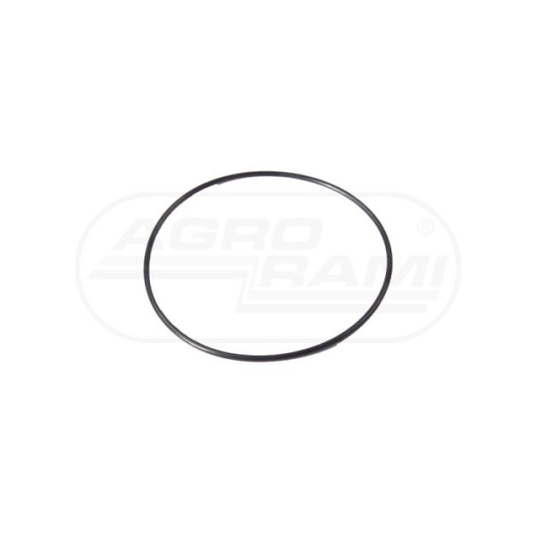 O-ring