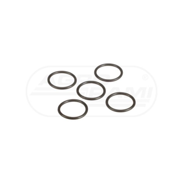 O-ring