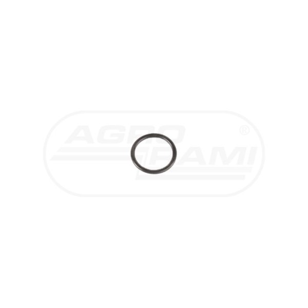 O-ring CNH