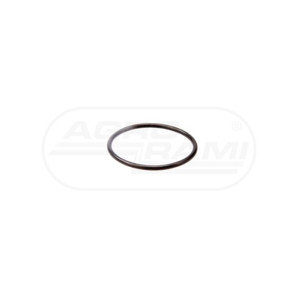 O-ring