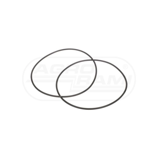 O-ring CNH