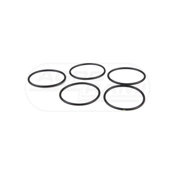 O-ring