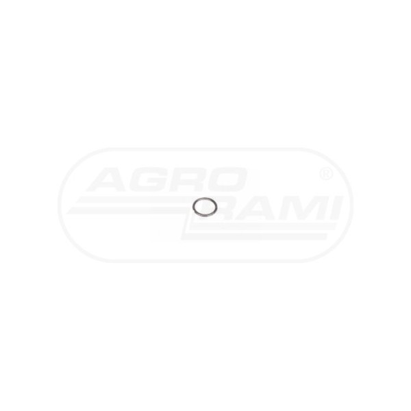 O-ring CNH