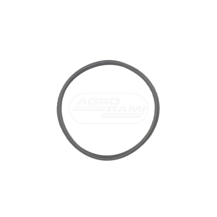 O-ring odmy IVECO 500315795, 2852028, 2830901
