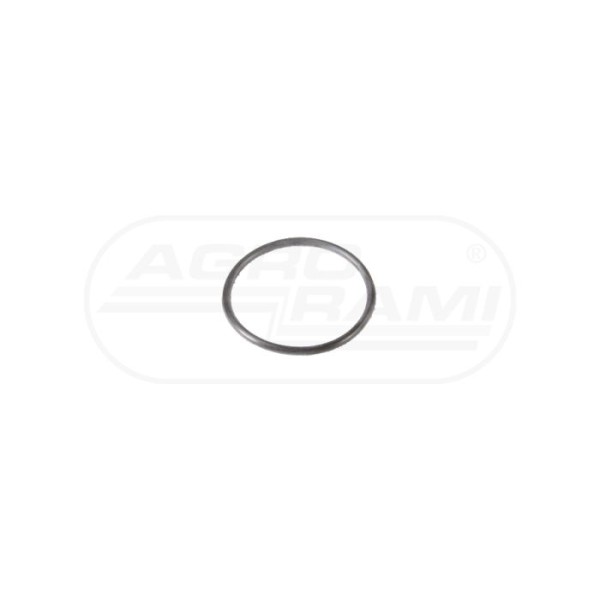 O-ring