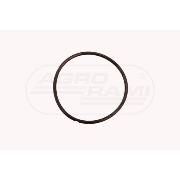 O-ring