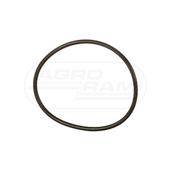 O-ring