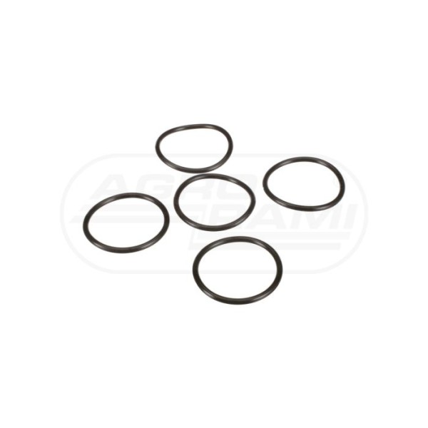 O-ring