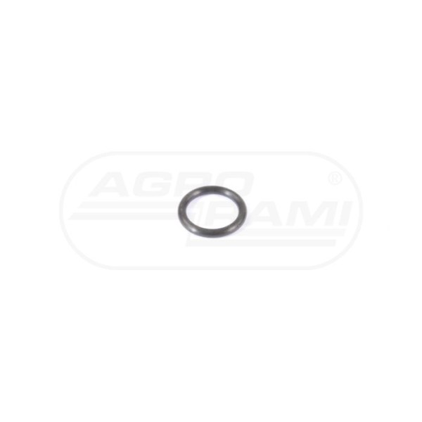 O-ring CNH