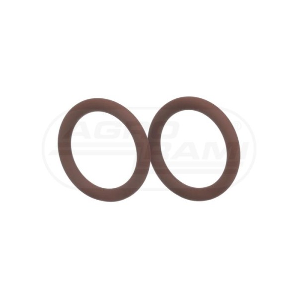 O-ring