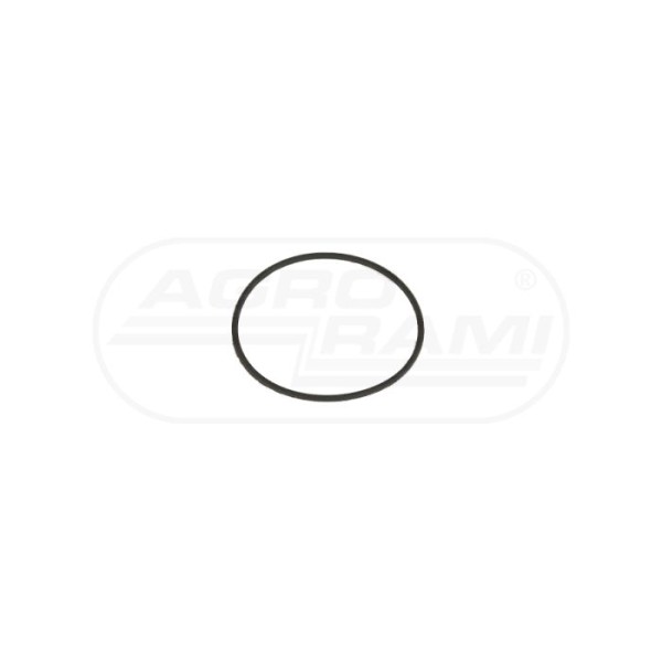 Oring 63,17x2,62