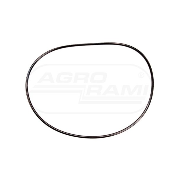 O-ring
