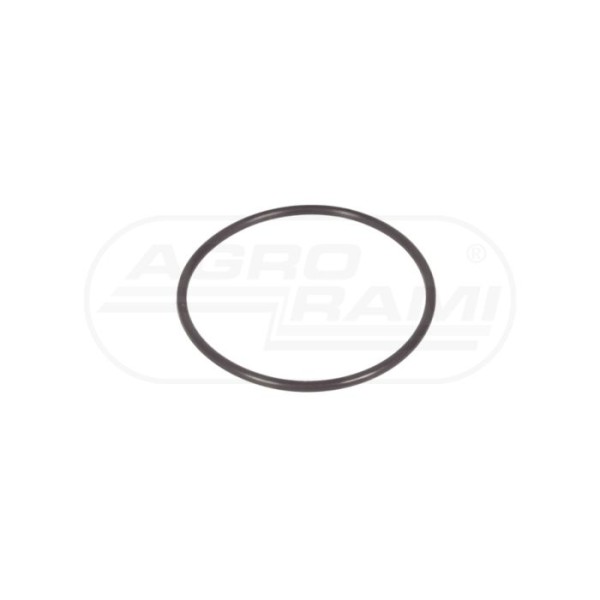 O-ring