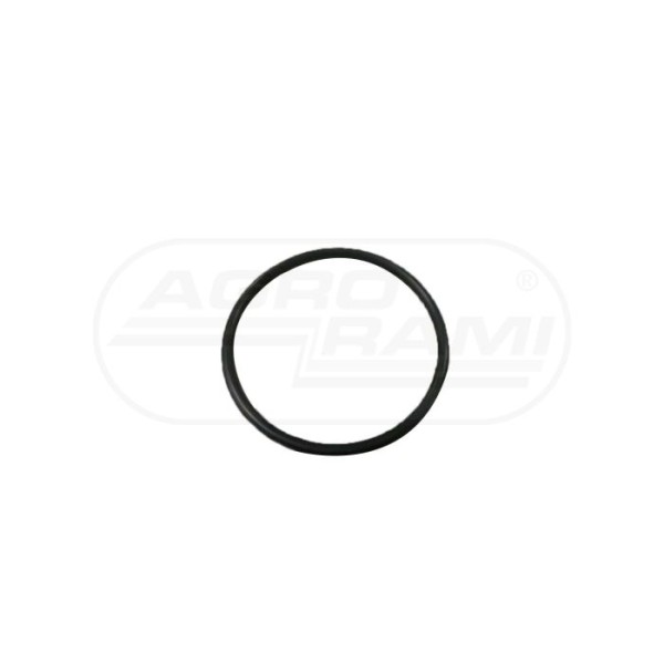 O-ring