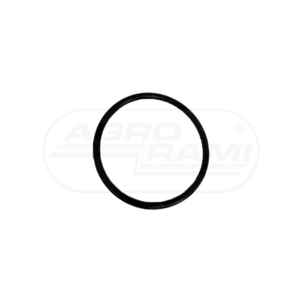 O-ring