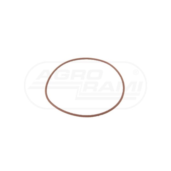 O-ring