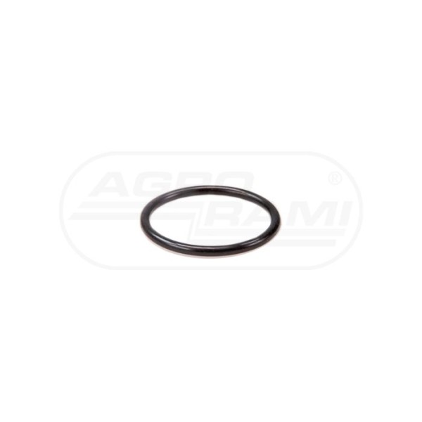 O-ring