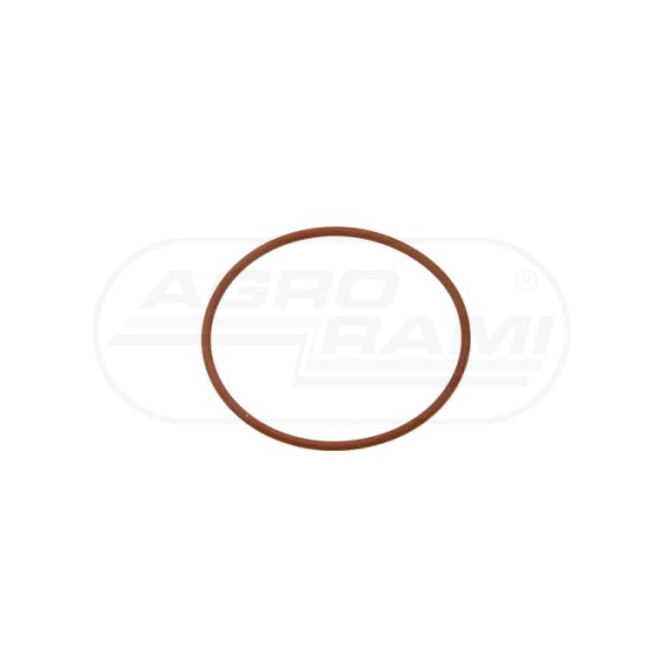 O-ring CNH