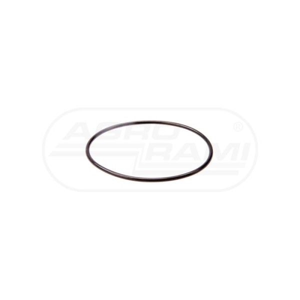 O-ring