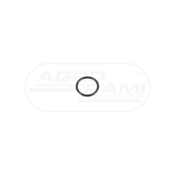 O-ring