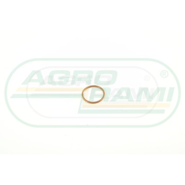O-ring CNH