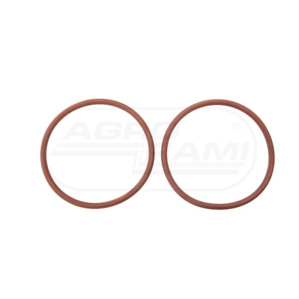 O-ring