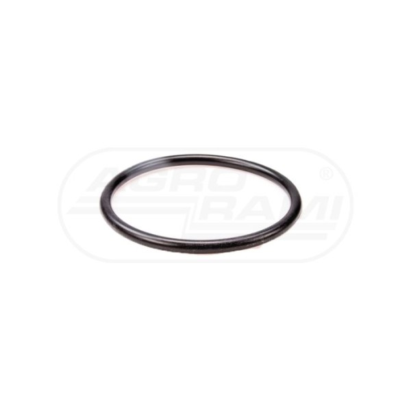 O-ring
