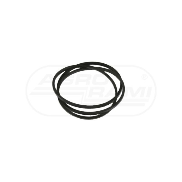 Oring 25416-31