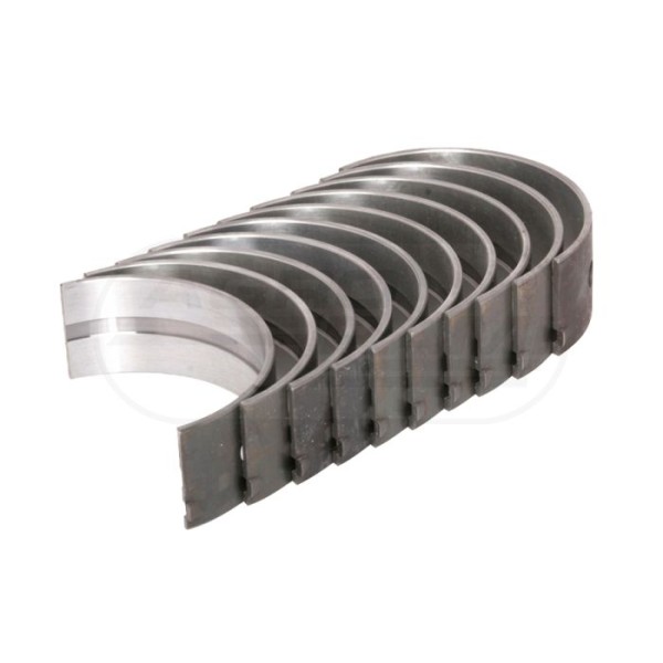 Panewki główne R2 W-50