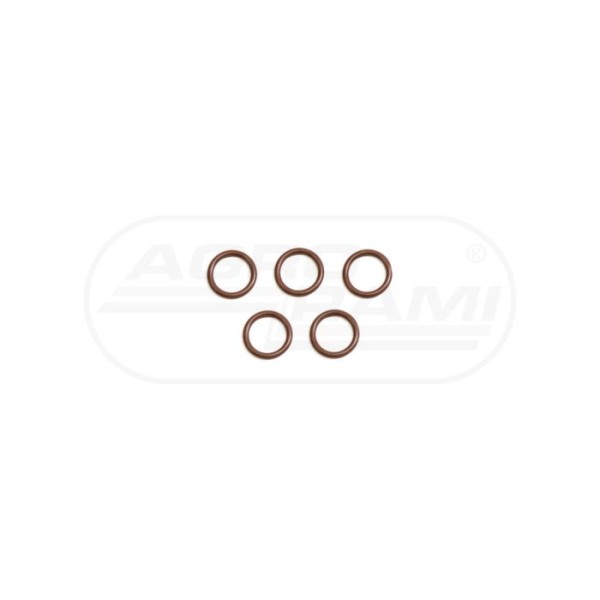 O-ring CNH