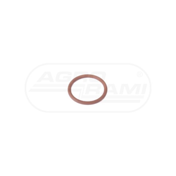 O-ring CNH