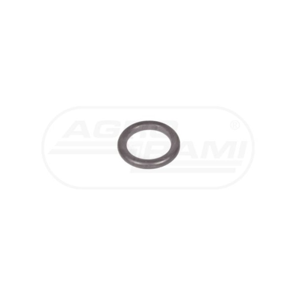 O-ring