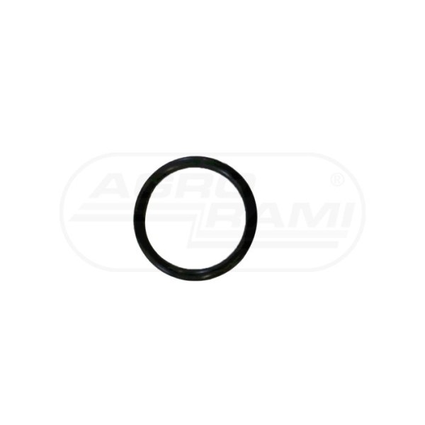 O-ring