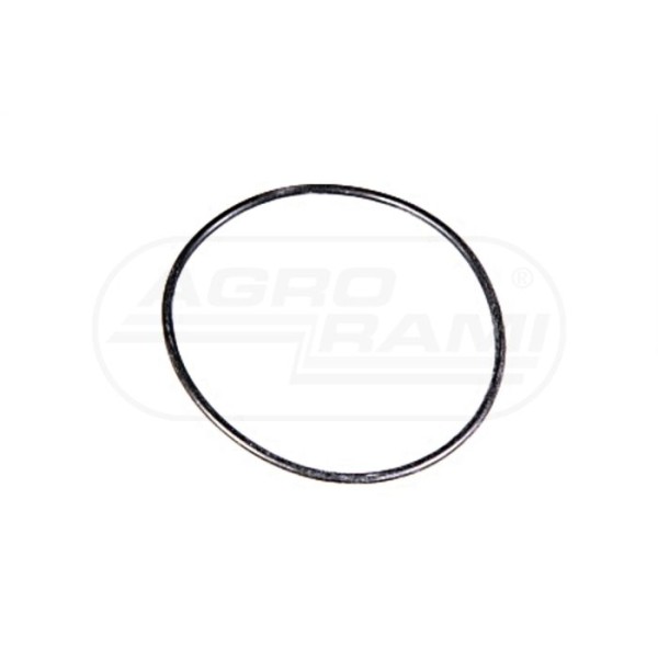 O-ring