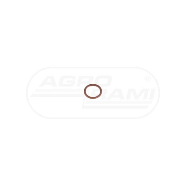 O-ring CNH