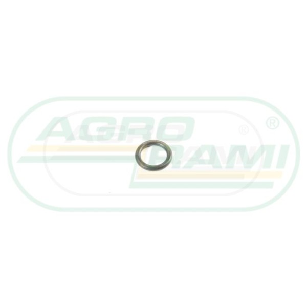 O-ring CNH