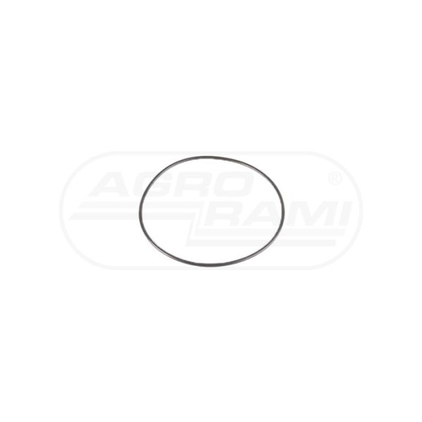 O-ring