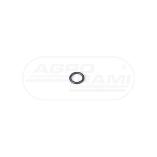 O-ring CNH