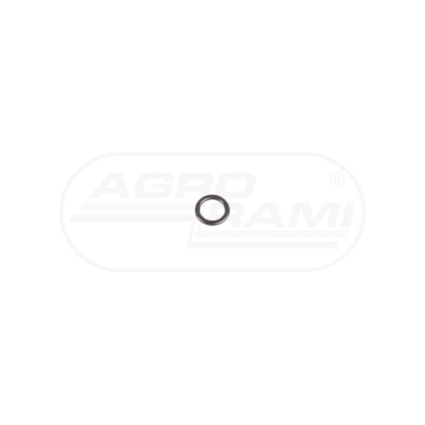 O-ring CNH