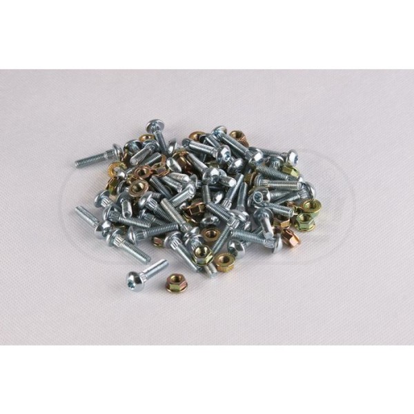 ZESTAW ŚRUB.M6X28 TORX (około 50szt.)