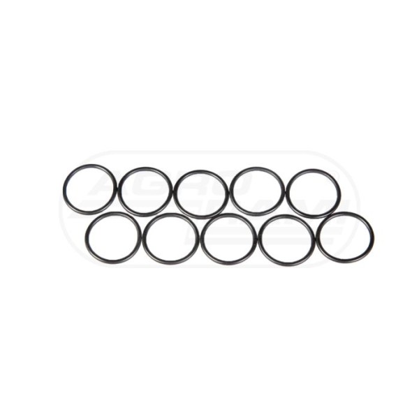 O-ring CNH