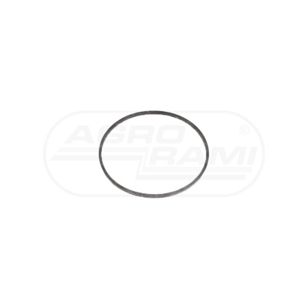 Uszczelnienie cylindra hamulcowego CNH