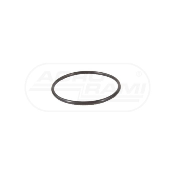 O-ring 24692-13