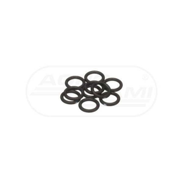 O-ring CNH