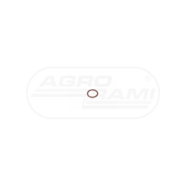 O-ring CNH