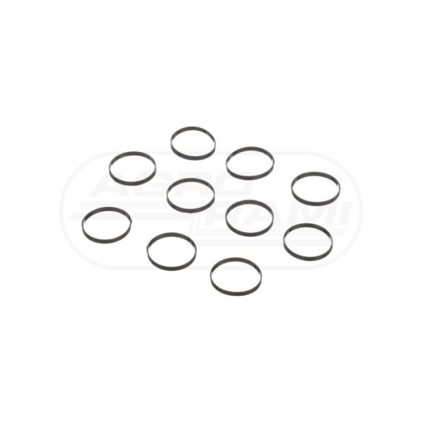 O-ring CNH