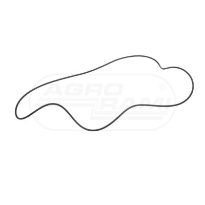 O-ring