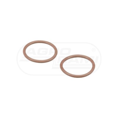 O-ring